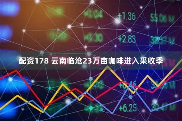 配资178 云南临沧23万亩咖啡进入采收季