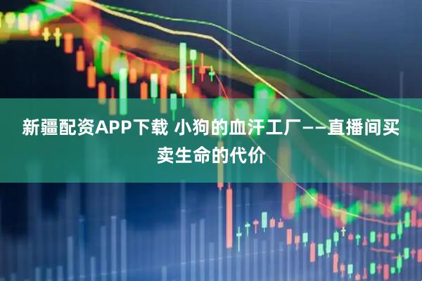 新疆配资APP下载 小狗的血汗工厂——直播间买卖生命的代价