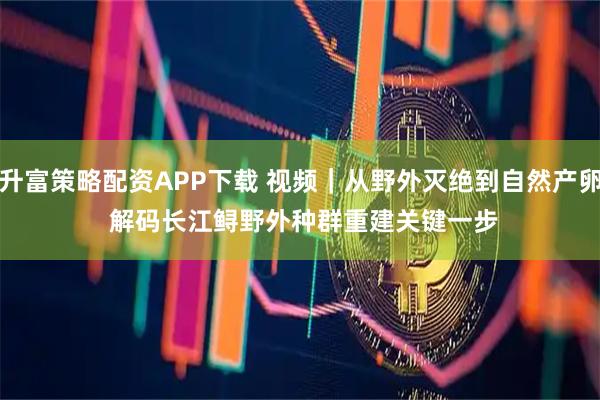 升富策略配资APP下载 视频|从野外灭绝到自然产卵 解码长江鲟野外种群重建关键一步