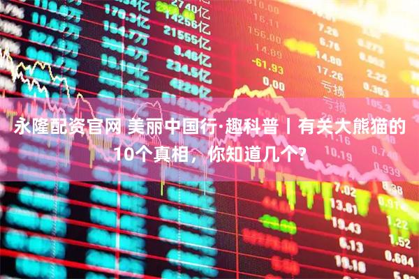 永隆配资官网 美丽中国行·趣科普丨有关大熊猫的10个真相，你知道几个?